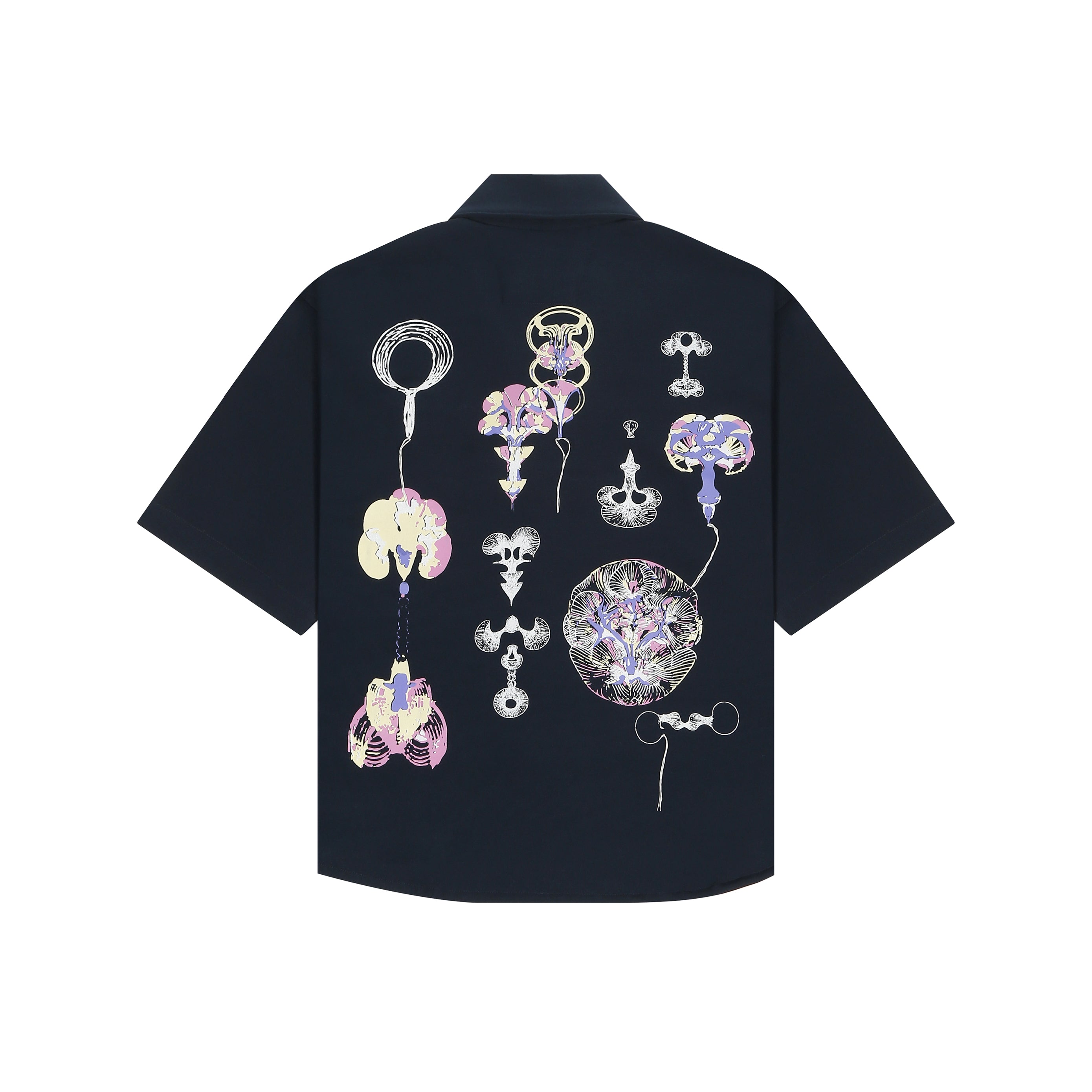 gid://shopify/Product/9622315729123